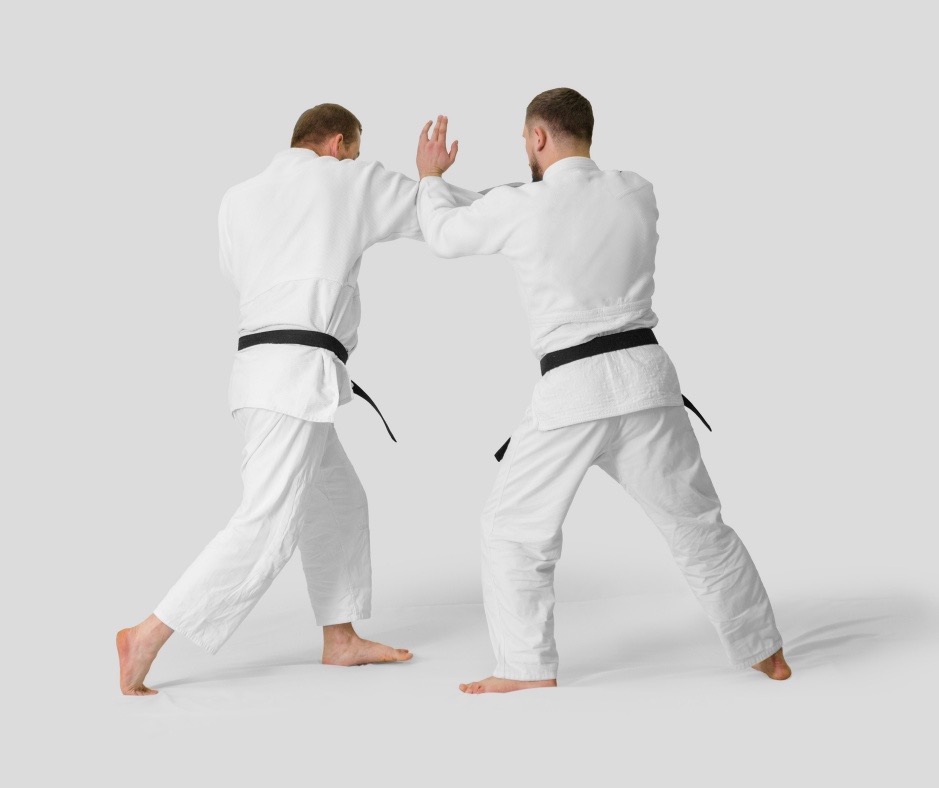 illustration of kime and ma concepts via two men doing martial arts
