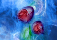Flower smoke Two red roses are shown in a blue background.