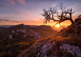 Temple of the sun (or Devil's fingers) A tree on top of a hill with the sun setting in the background.